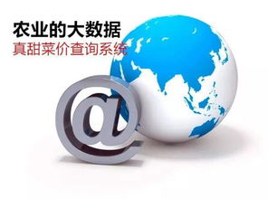 農業信息革命 告別“現代社會原始人”，擁抱“真甜菜價查詢系統”的魔力